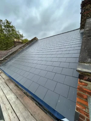 Environmental Roofing Services